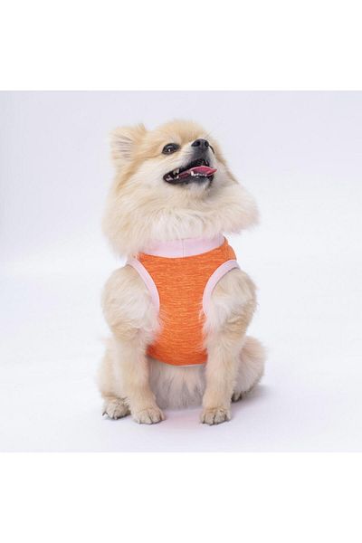 Pawstar Orange Joy Cat Dog T-Shirt - Clothes Design