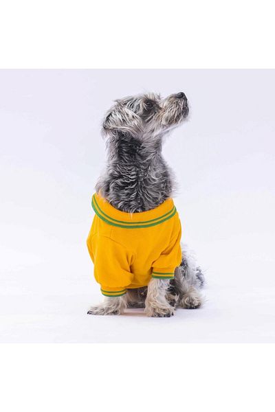 Pawstar Polo Collar Yellow Marine Cat Dog T-Shirt - Outfit