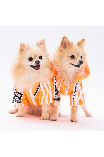 Pawstar Orange Tuta Small Breed Dog Jumpsuit Dog Outfit Dog Tracksuit Cat Outfit