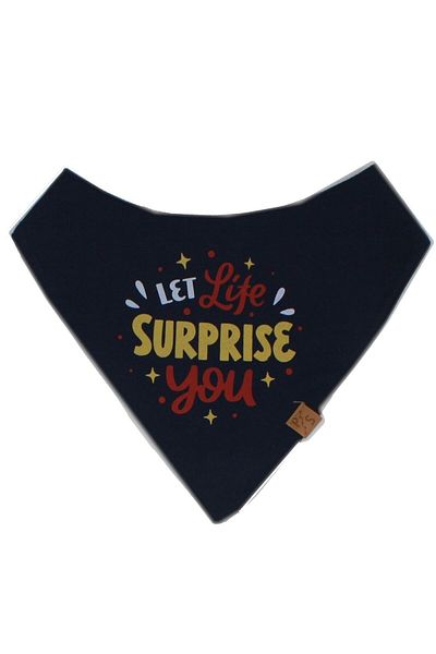 Pawstar Suprise Cat Dog Scarf Pet Bandana