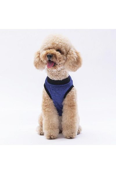 Pawstar Navy Blue Travel Cat Dog Sweatshirts - Cat Dog Outfit