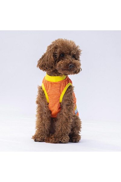 Pawstar Orange Sunrise Cat Dog T-Shirt - Cat Dog Outfit