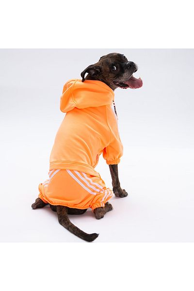 Pawstar Orange Tuta Medium and Large Breed Dog Jumpsuit Dog Outfit