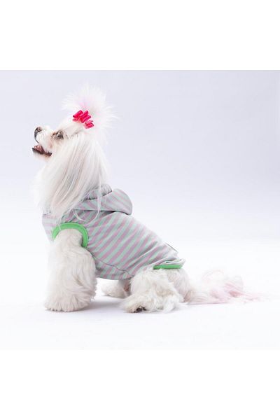 Pawstar Mint Sunny Cat Dog Hooded T-Shirt - Clothes Design