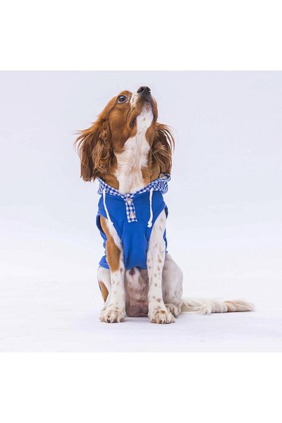 Pawstar Blue Gingham Cat Dog Hooded T-Shirt - Outfit Design