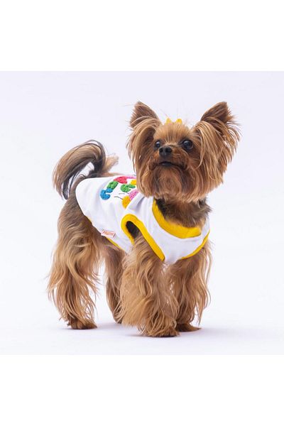 Pawstar Cat Dog Happy Birthday T-Shirt - Outfit Patterned