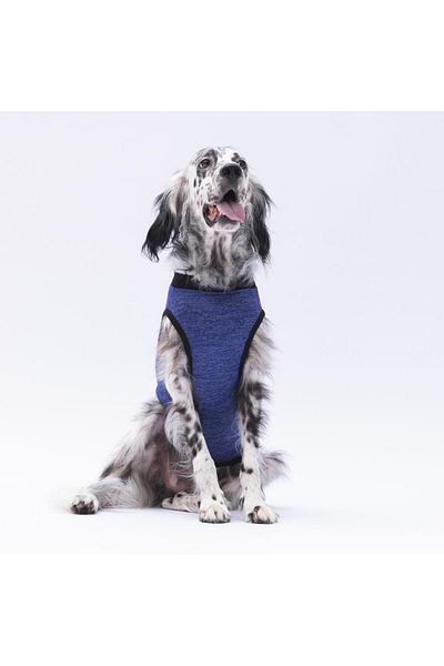 Pawstar Navy Travel - Large Dog T-Shirt and Apparel (15-45 KG)