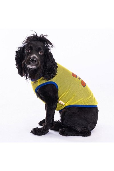Pawstar Life Mesh Cat Dog Pattern T-Shirt - Outfit