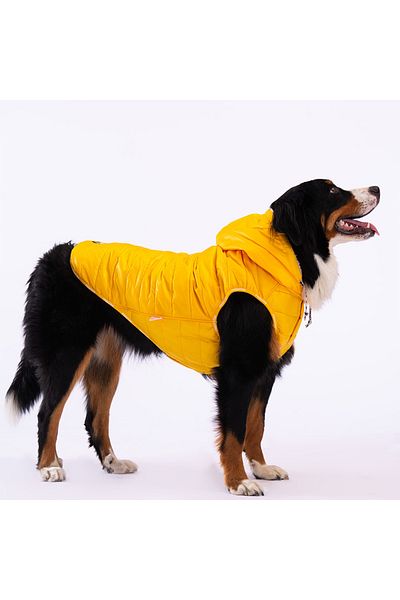 Pawstar Yellow Railway - Anorak Vest, Dog Vest, Clothing and Raincoat for Medium and Large Breeds
