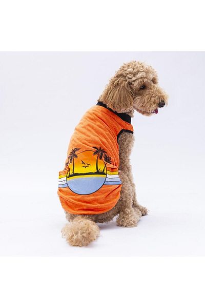 Pawstar Orange Sunrise Big Dog T-Shirt - 15-45 KG Outfit