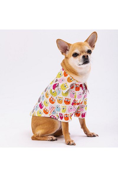 Pawstar Owls Cat Dog Shirt - Cat Dog Outfit