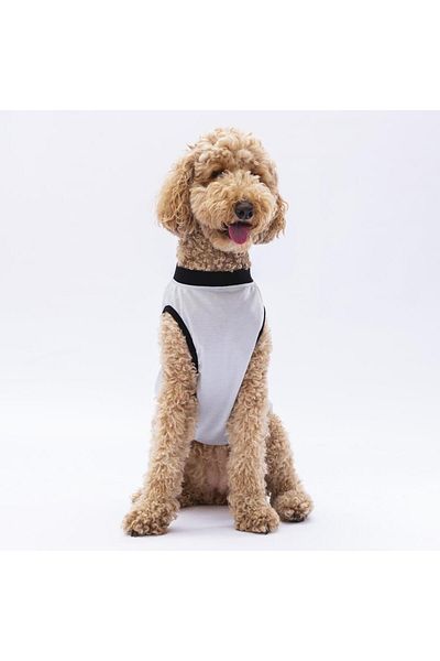 Pawstar Gray Travel Large Dog T-Shirt - Dog Apparel (15 KG-45 KG)