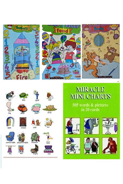 The Kidland Yayınları Primary School English 70Pcs Large Size Wall Poster 10Pcs 505 Pictures 505 English Words Card Set