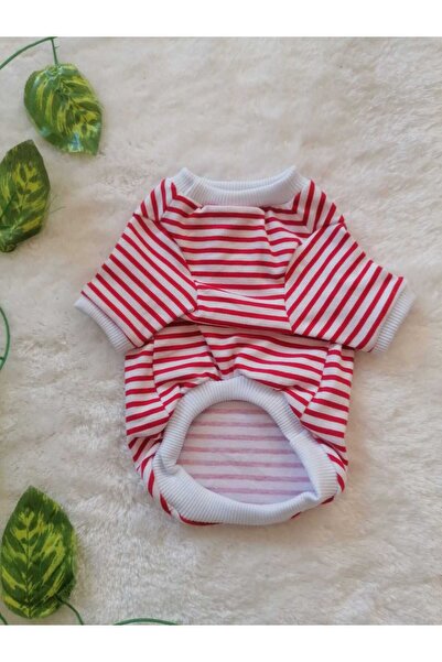 jeneric pet tişört, köpek kıyafeti, kedi kıyafeti, lagost penye