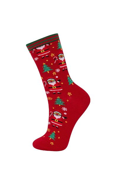 DeFacto Women's Christmas Themed 2-Piece Cotton Long Socks E2595Axns