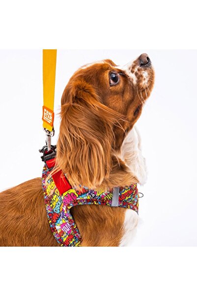 Pawstar Wow Air-mesh Göğüs Tasması Kedi Köpek Göğüs Tasması