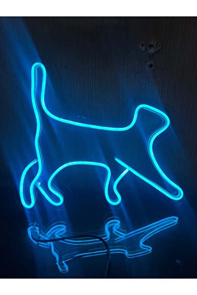 sihirli tabela Kedi cat neon