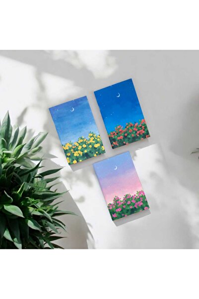 Riyaz Dükkan Meva - 3'lü Defter Seti, 14x21 Cm, A5 Boyut, Çizgili