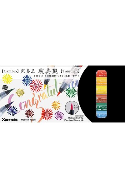 STOREMAX Cambio Tambien Pen 6 Li Set X050T/6Va Mi̇mbshopp 1055529