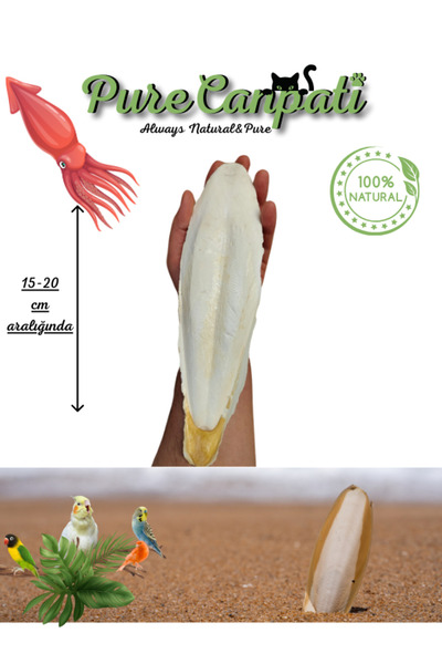 PureCanpati Xl Kalamar Kemiği(İRİ BOY 15-20 CM ARALIĞINDA)