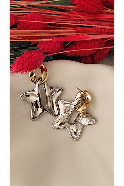 İPAR AKSESUAR Star Metal - Silver and Gold Colored Earrings