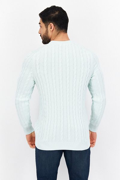 Lyle & Scott Men Crew Neck Ribbed Long Sleeve Printed Sweaters, Turquoise