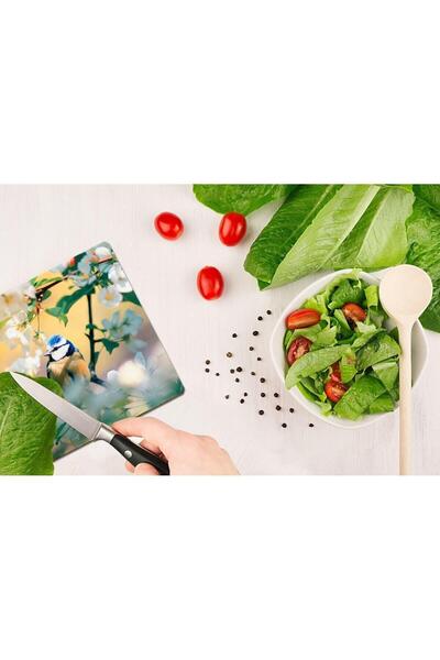 Saban 30X40 cm Glass Cutting Board Model 198