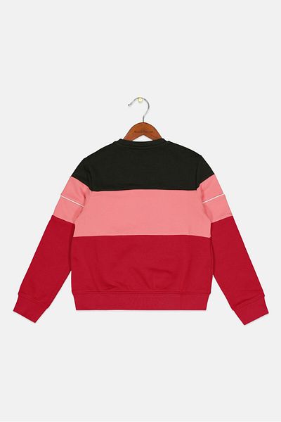 Ellesse Kids Girl Colorblock Sweatshirt, Dark Olive