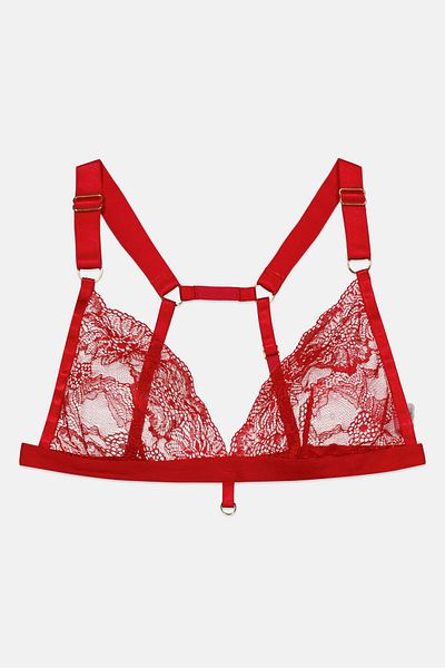 We Are We Wear Women Textured Lace Bra, Red