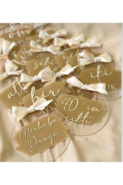 SHINY Kapı süsü / Anı Disk Seti - Bebek Pleksi Kapı Süsü Ay Panoları