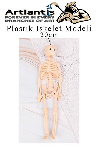 Artlantis Plastik İskelet Modeli 20 cm 1 Adet Plastik İnsan İsket Modeli Sili...