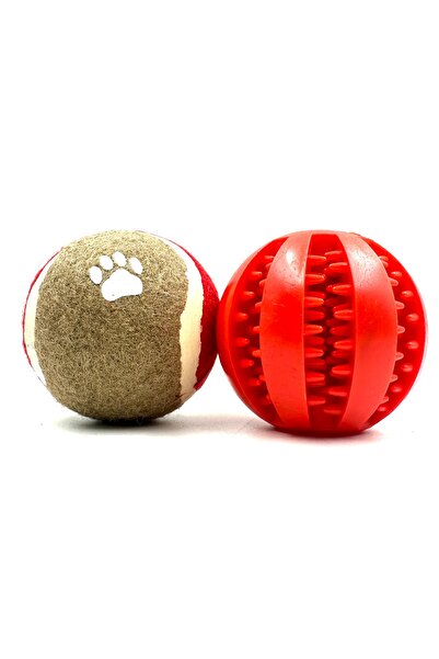 Tasma Market Set of 2 Hoppered Balls and Dog Tennis Balls - Reward Food
