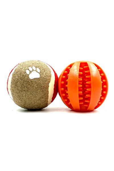 Tasma Market Set of 2 Hoppered Balls and Dog Tennis Balls - Reward Food