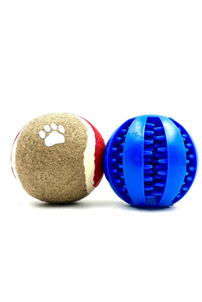 Tasma Market Set of 2 Assorted Dog Balls