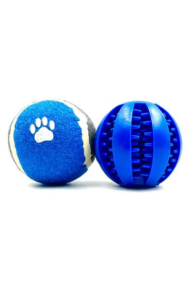 Tasma Market Set of 2 Hoppered Balls and Dog Tennis Balls - Reward Food