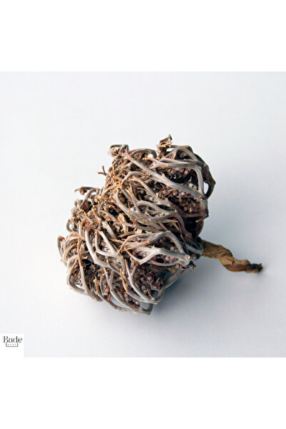 Bade Shop 1 Adet Meryem (MERYAM) Ana Eli Otu - Fatma Ana Eli Otu (ANASTATİCA ...