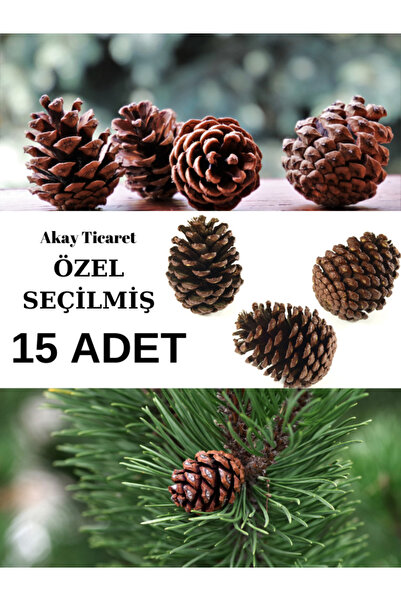 AKAY TİCARET Çam Kozalağı Kaliteli Seçilmiş 15 Adet Doğal Çam Doğal Dekoratif...