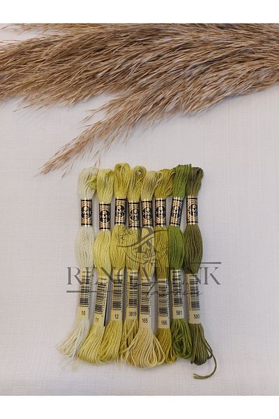 Dmc Muline Light Green Colors 8 Colors