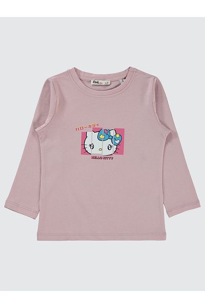 Civil Girls 2-5 Years Girl's Pink Sweatshirt