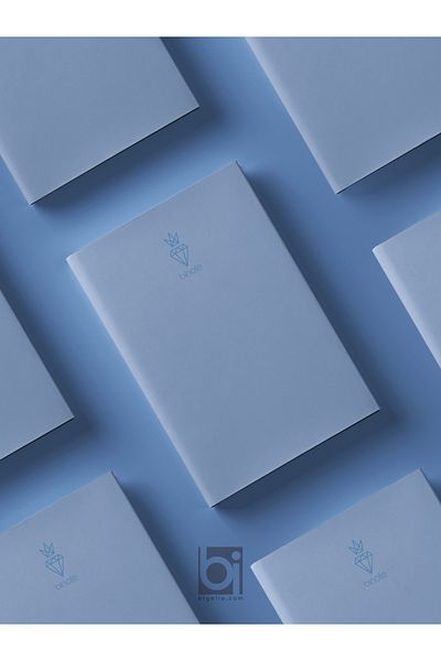 Bi bigelio Set de 3 albastru - Bloc de note cu cusătură sârmă Bi Note