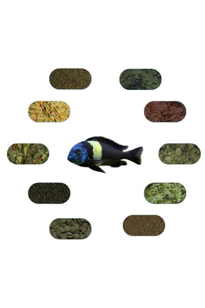 Tropheus Duboisi Maswa Özel Yem Paketi 50 Gr/Ad (6 Çeşit)