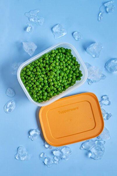 Tupperware Alaska Short Body Icebox Storage Container Set of 4 450 ml