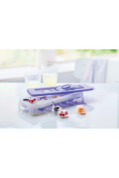 Tupperware 14 Piece Ice Mold Plum Set