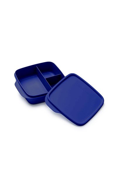 Tupperware Night Blue 550 ml Food Carrying Container with Compartments