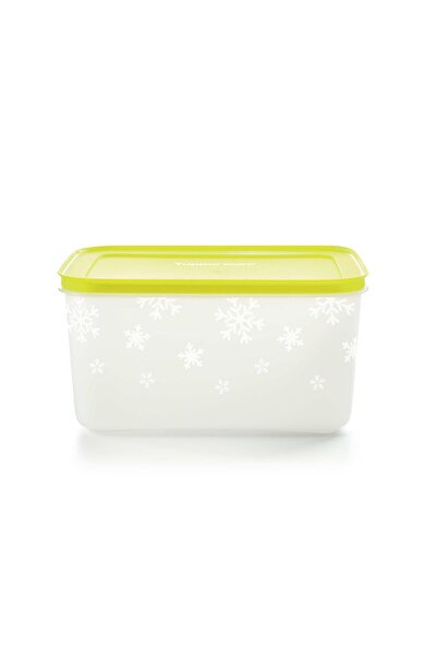 Tupperware Alaska Freezer Storage Container 2.5 Lt