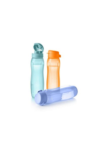 Tupperware Eco Bottle Set of 3 Water Bottle and Flask 750 ml