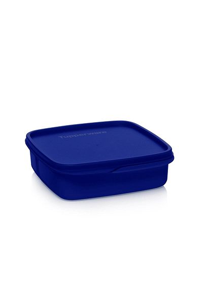 Tupperware Night Blue 550 ml Food Carrying Container with Compartments
