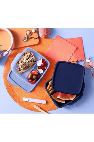 Tupperware Bölmeli Yemek Taşıma Kabı 550 ml Gece Mavisi