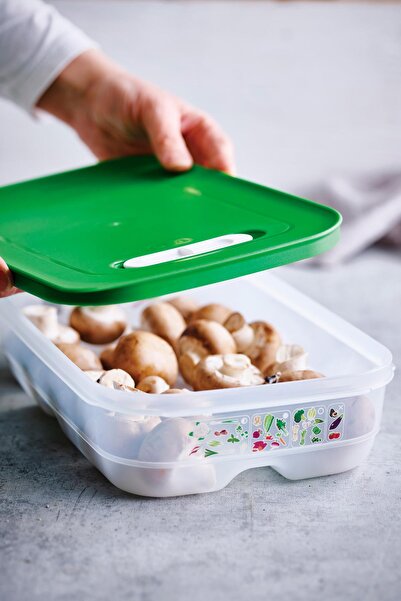 Tupperware Sera Serisi Kısa Gövdeli Meyve & Sebze ve Buzdolabı Saklama Kabı Yeşil 1.8 lt