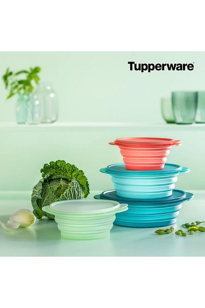 Tupperware Minmax Guava Food Storage Container 700 ml